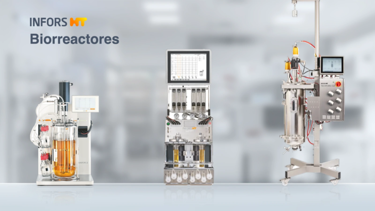 ¿Qué es un biorreactor? Tipos, aplicaciones y cómo elegir el adecuado